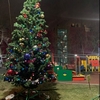 02-12-2019 Установлена красавица елка на детской площадке.