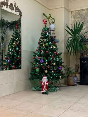 С Новым годом! Первый подъезд.