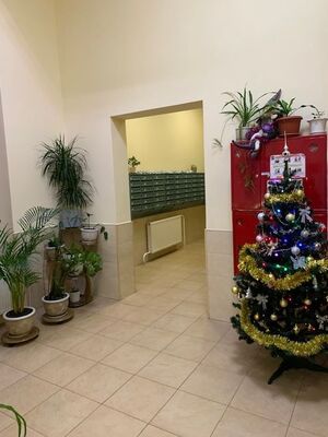 С Новым годом! Второй подъезд.