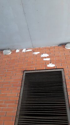 Новое фото маяков сегодня