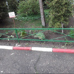 07-05-2020 Благоустройство двора