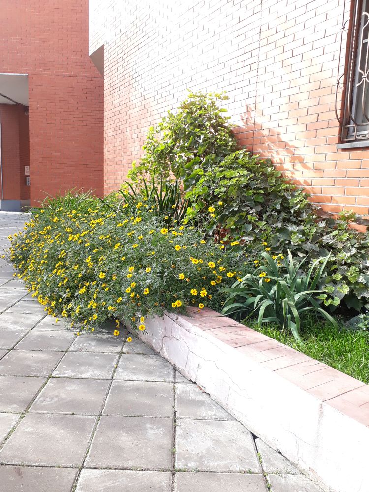 /20201005_132704.jpg