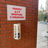 01-03-2019 Размещение пакетов для прогулки с собаками
