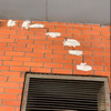 24-04-2019 Установка маяков для наблюдения за трещиной на стене дома в арке спортивной площадки.