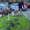 04-06-2019 Утренний полив цветов